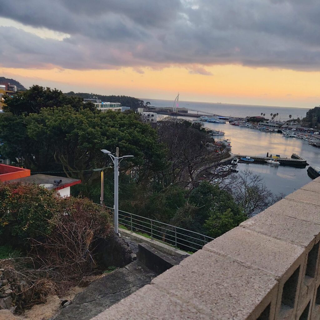 카페준 - 이미지 5