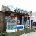 그리운바다 성산포