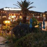 카페 델문도 함덕점