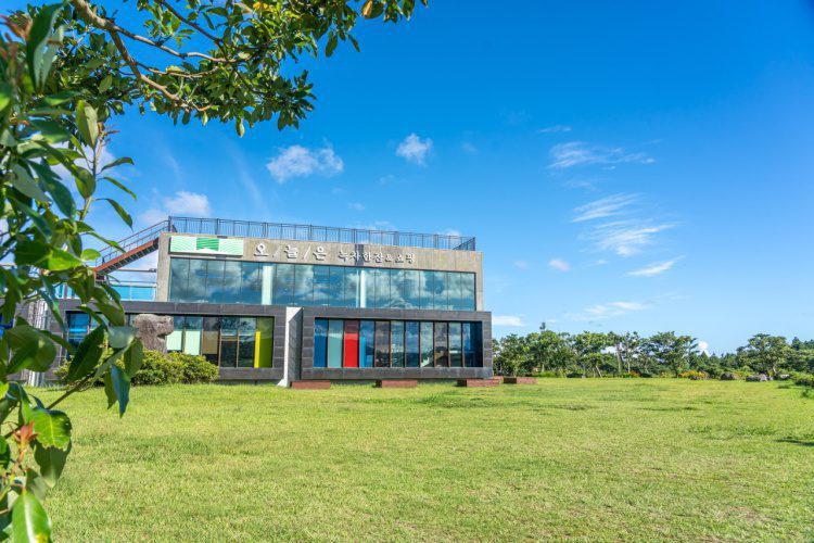 오늘은녹차한잔