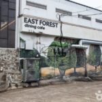 이스트포레스트