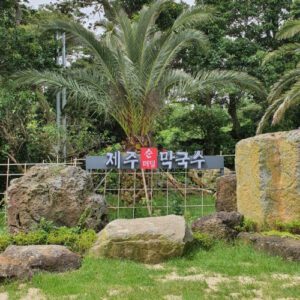 제주순메밀막국수