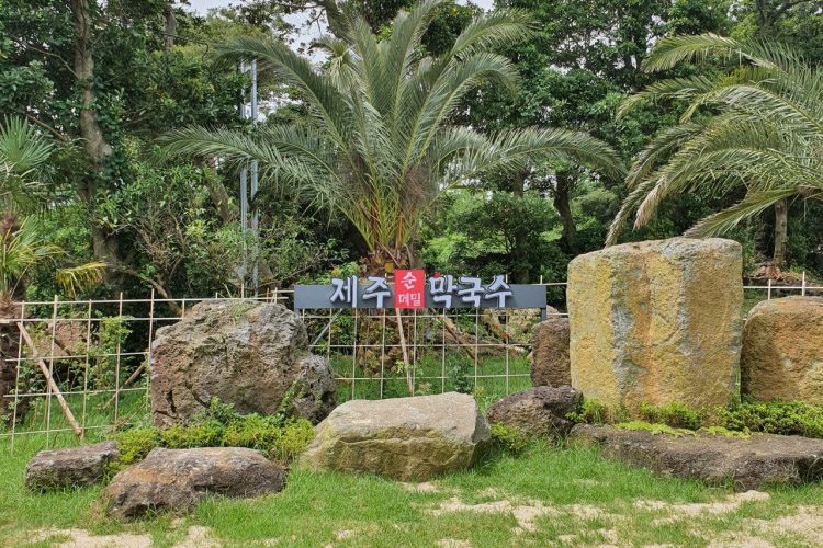 제주순메밀막국수