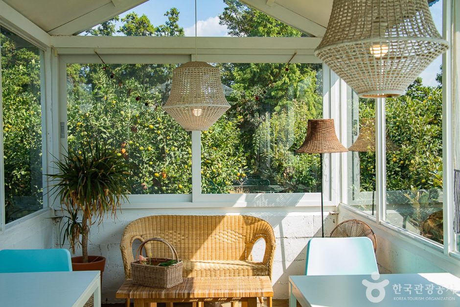 서귀포 제주에인감귤밭 카페 - 이미지 10
