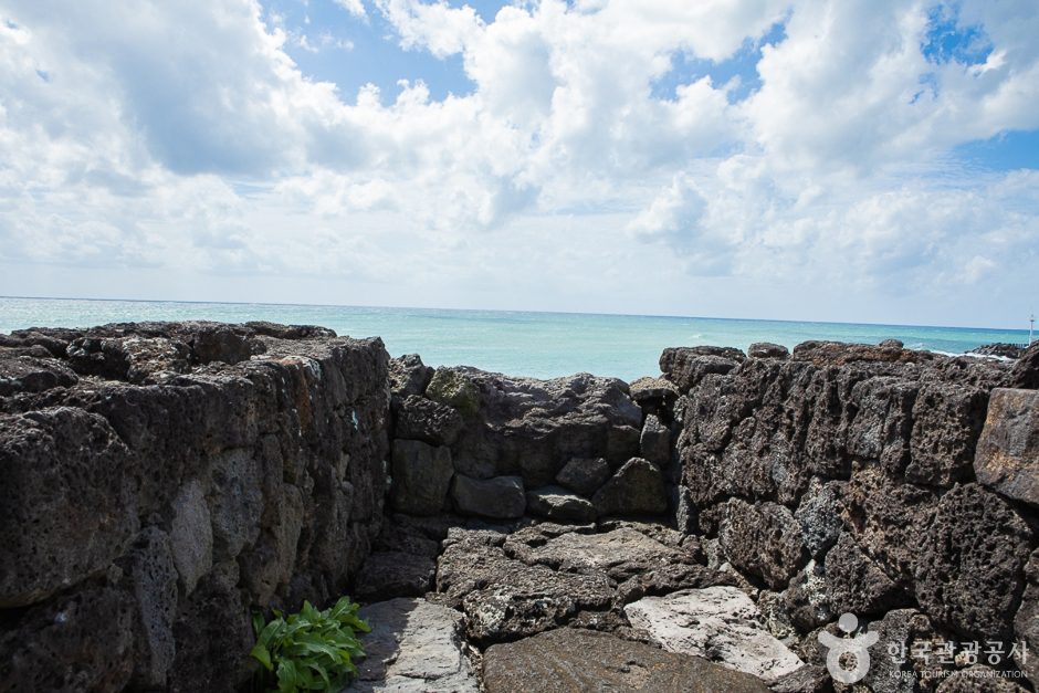 세화리해녀의집 - 이미지 9