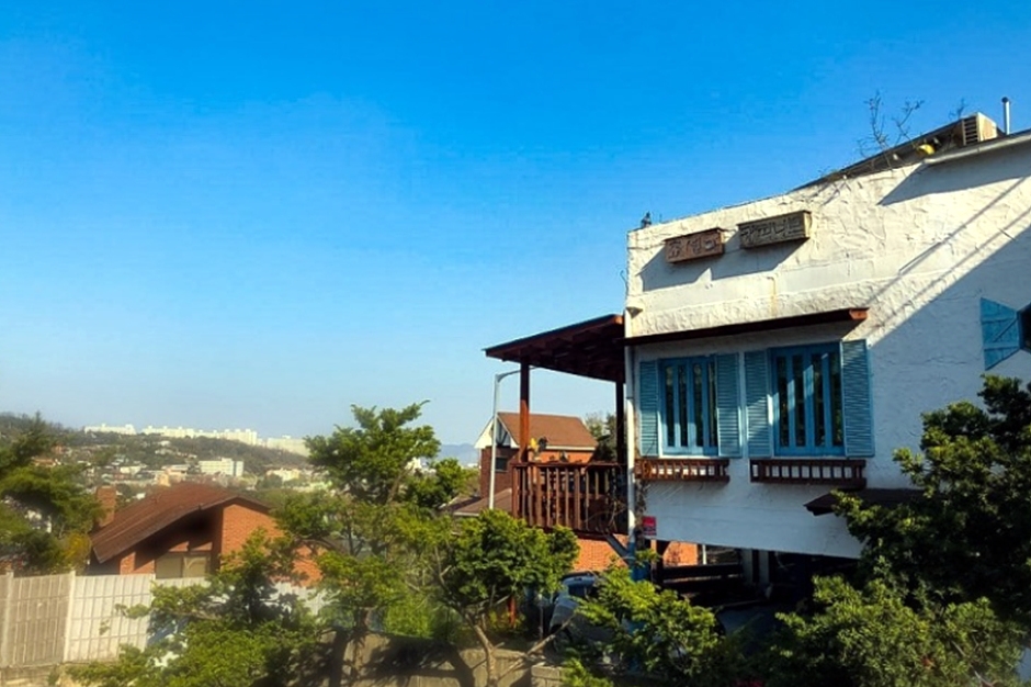 조셉의커피나무